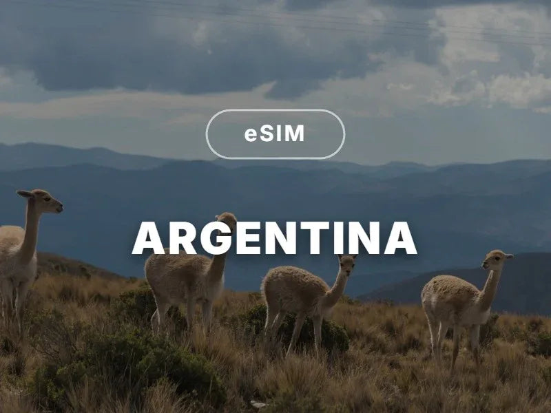 Argentina eSIM - chillaxsim