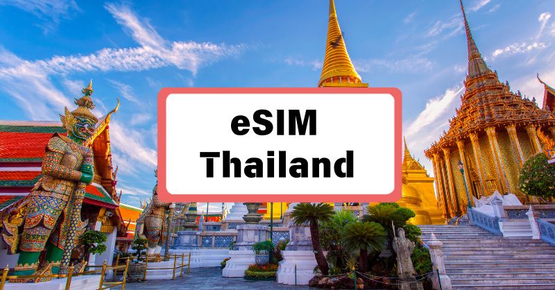 🍜 Exploring Thailand’s Night Markets with eSIM Thailand: Eat, Share, Repeat