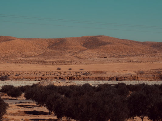 الجزائر إسيم