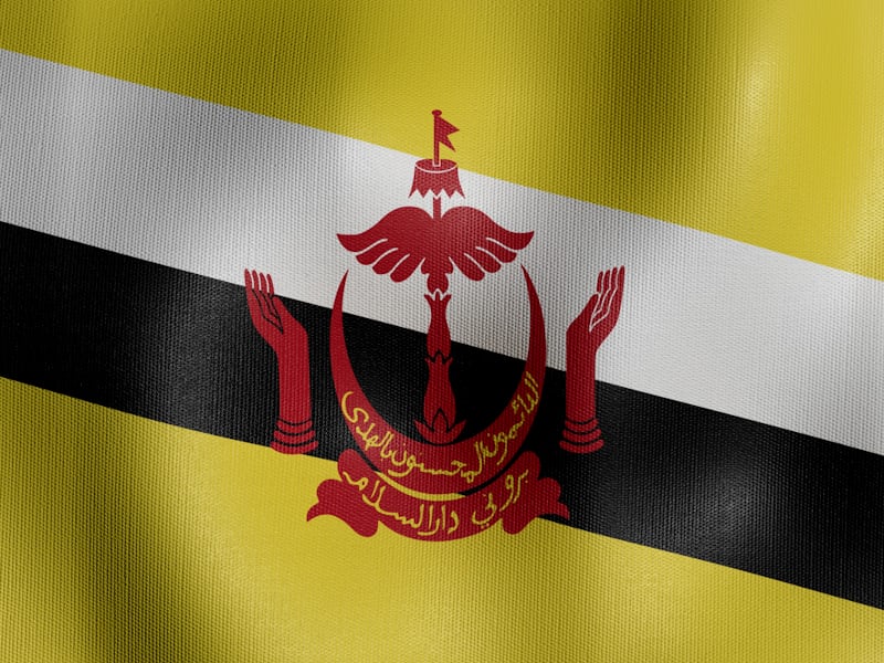 eSIM Brunei